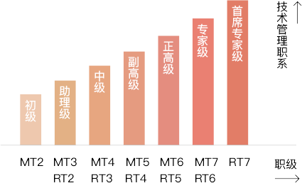 技术专职晋升体系